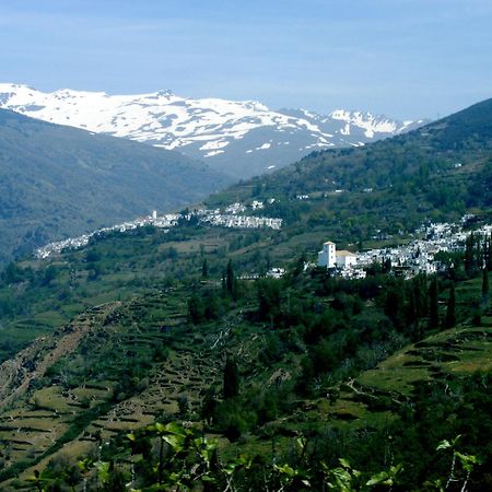 Villa Tropical Slow Orgiva Dış mekan fotoğraf