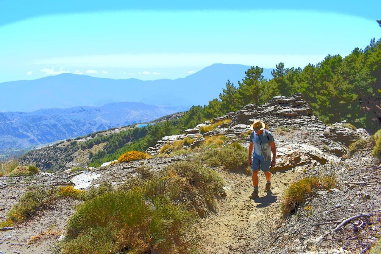 Villa Tropical Slow Orgiva Dış mekan fotoğraf