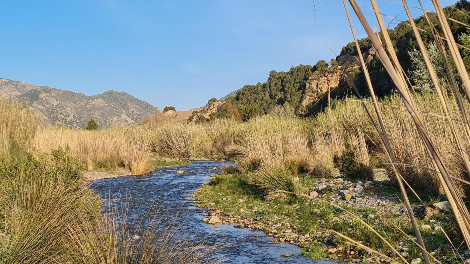 Villa Tropical Slow Orgiva Dış mekan fotoğraf