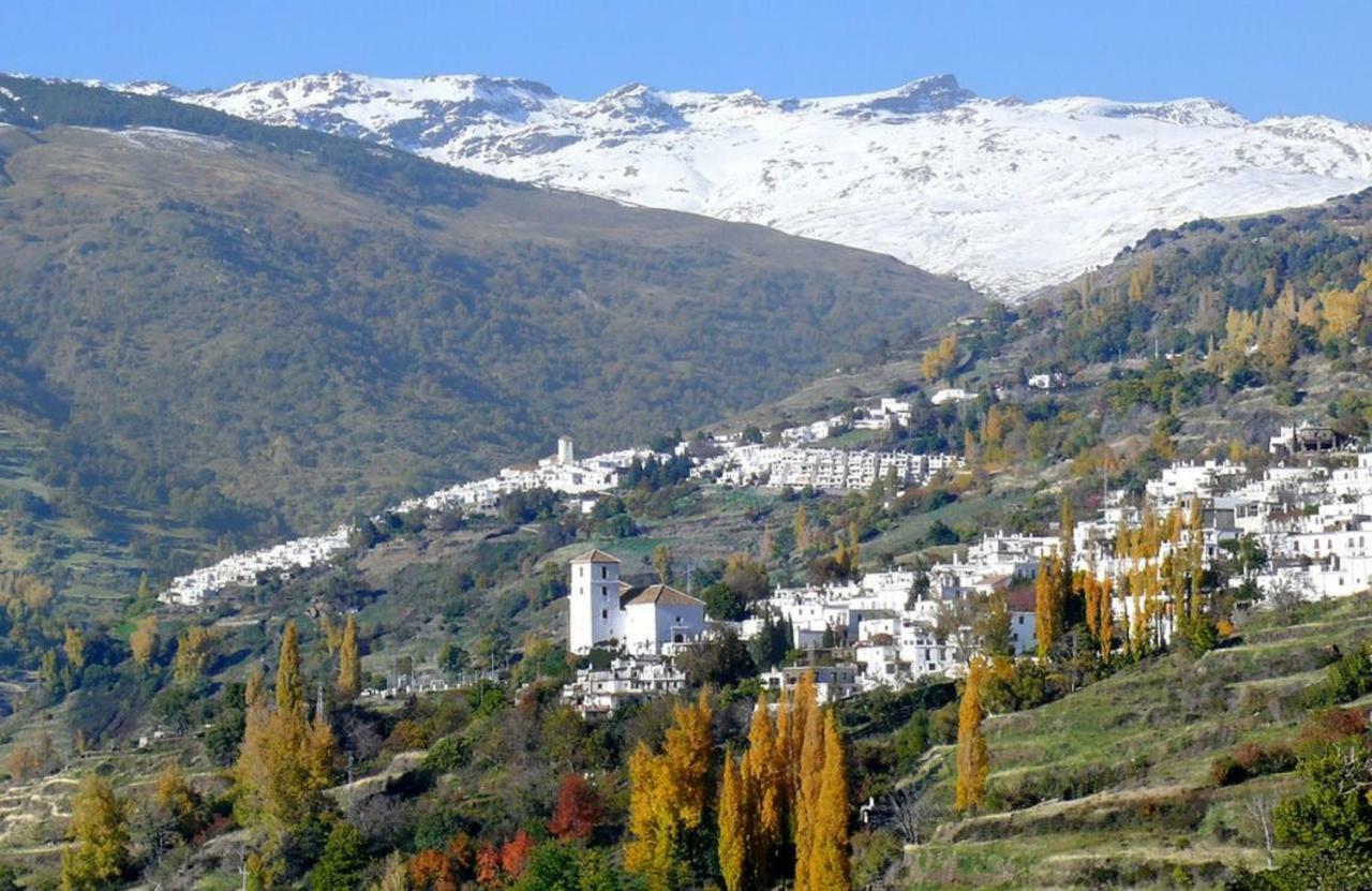 Villa Tropical Slow Orgiva Dış mekan fotoğraf